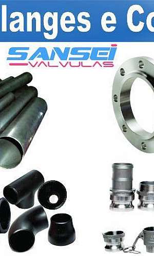 Flanges aço carbono Flanges aço carbono